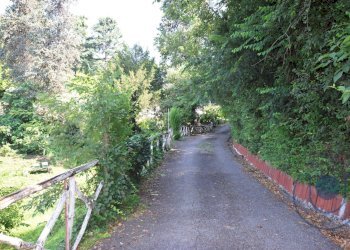 Esterno - Villa Strada Maddalena, Moncalieri - foto 10