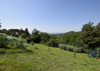 Esterno - Villa Strada Maddalena, Moncalieri - foto 22