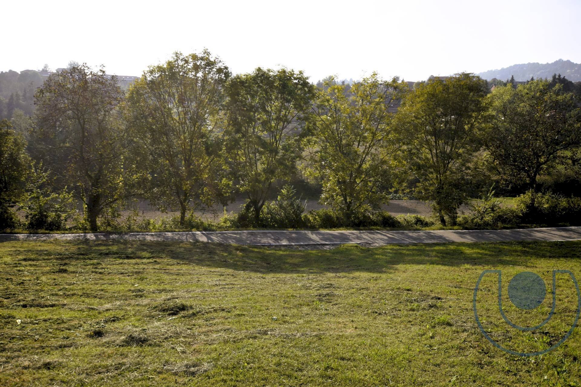 Foto 3 - Terreno agricolo Via Palazzotto, Pino Torinese - foto 3