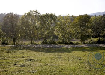 Foto 3 - Terreno agricolo Via Palazzotto, Pino Torinese - foto 3