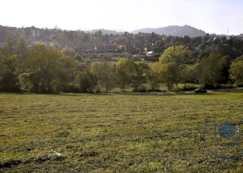Foto 4 - Terreno agricolo Via Palazzotto, Pino Torinese - foto 4