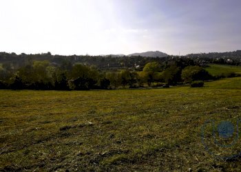 Foto 5 - Terreno agricolo Via Palazzotto, Pino Torinese - foto 5