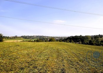 Foto 6 - Terreno agricolo Via Palazzotto, Pino Torinese - foto 6