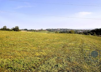 Foto 7 - Terreno agricolo Via Palazzotto, Pino Torinese - foto 7