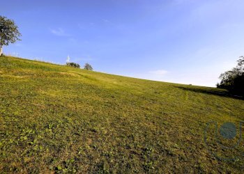 Foto 8 - Terreno agricolo Via Palazzotto, Pino Torinese - foto 8