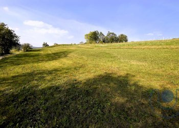 Foto 9 - Terreno agricolo Via Palazzotto, Pino Torinese - foto 9