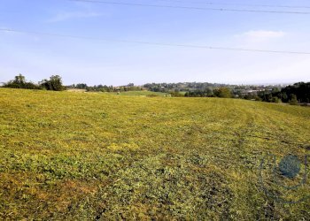 Foto 11 - Terreno agricolo Via Palazzotto, Pino Torinese - foto 11