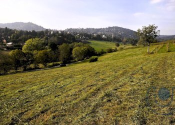Foto 12 - Terreno agricolo Via Palazzotto, Pino Torinese - foto 12