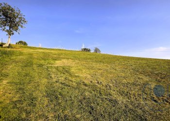 Foto 13 - Terreno agricolo Via Palazzotto, Pino Torinese - foto 13