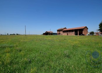 Foto 2 - Rustico Borgo Bianchi, Villanova d'Asti - foto 2