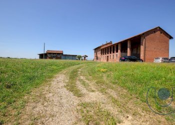 Foto 6 - Rustico Borgo Bianchi, Villanova d'Asti - foto 6