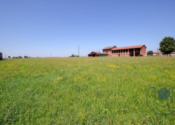 Foto 16 - Rustico Borgo Bianchi, Villanova d'Asti - foto 16