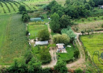 Foto 4 - Agricultural land Via Buttigliera, Chieri - photo 4