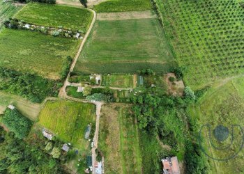 Foto 6 - Agricultural land Via Buttigliera, Chieri - photo 6