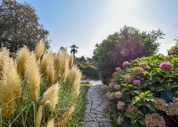 Esterno - Appartamento Strada Moncalieri, Moncalieri - foto 26