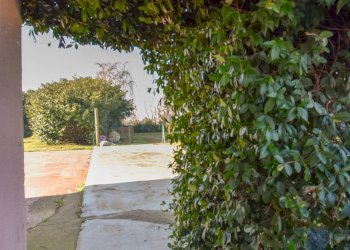 Esterno - Rustico Strada Monza, Chieri - foto 15