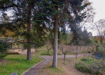 Esterno - Villa Strada Eremo, Pecetto Torinese - foto 15