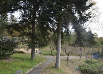 Esterno - Villa Strada Eremo, Pecetto Torinese - foto 41
