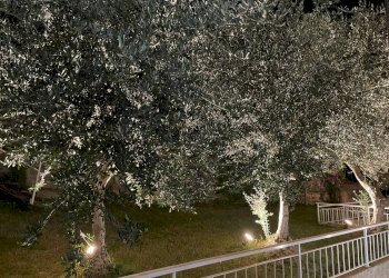 Foto 39 - Bilocale Via Piave
 
56, Pietra Ligure - foto 39