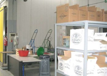 IMG_3768 - Locale Commerciale Corso De Gasperi
171, Rivoli - foto 6