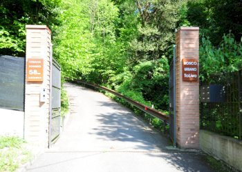 Foto 58 - Villa Strada Torino
 
60, Pino Torinese - foto 55