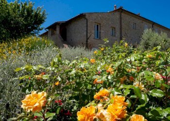 Foto 42 - Apartment San Gimignano - photo 41