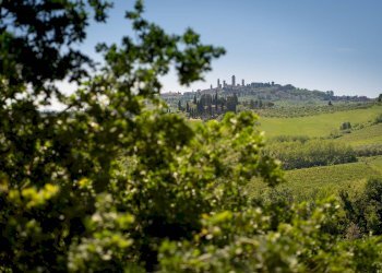 Foto 43 - Apartment San Gimignano - photo 42