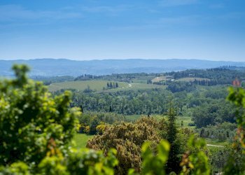 Foto 44 - Apartment San Gimignano - photo 43