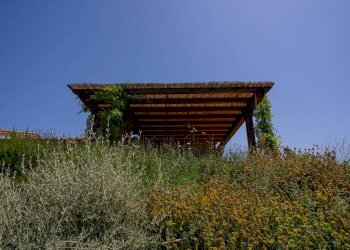 Foto 41 - Rustico Volterra - foto 41