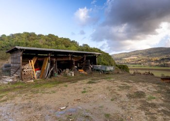 Foto 39 - Rustico Volterra - foto 39