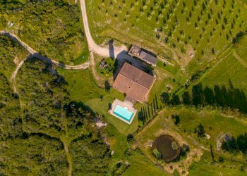 Foto 42 - Rustico Volterra - foto 42