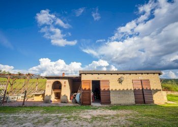 Foto 50 - Rustico Volterra - foto 50