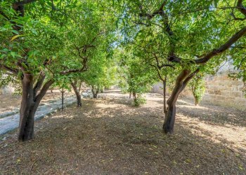 Foto 48 - Villa Via Umberto I
 
40, San Cesario di Lecce - foto 48