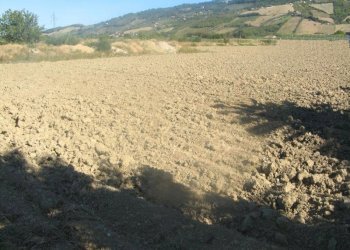 Foto 1 - Terreno edificabile Monteprandone - foto 1