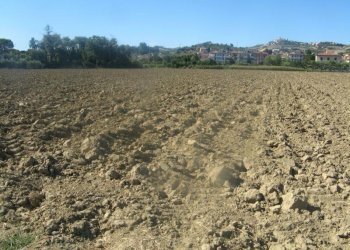 Foto 1 - Terreno edificabile Zona Industriale, Monteprandone - foto 1