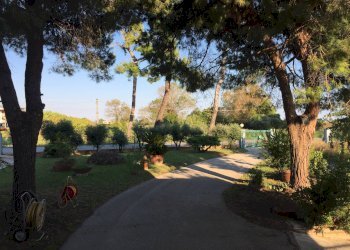 Foto 16 - Capannone Via Roma
 
344, Martinsicuro - foto 16