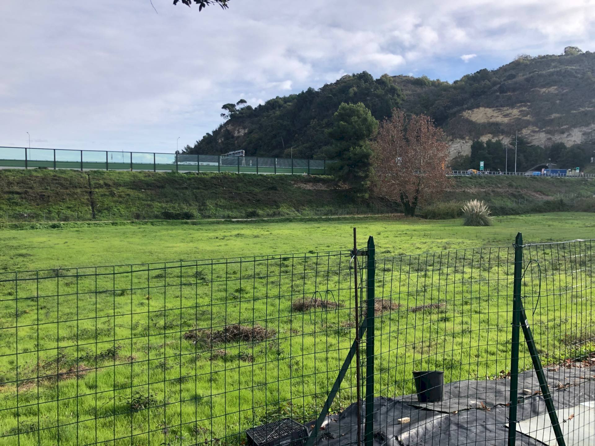 Foto 2 - Terreno edificabile Via Rizzotto, Pedaso - foto 2