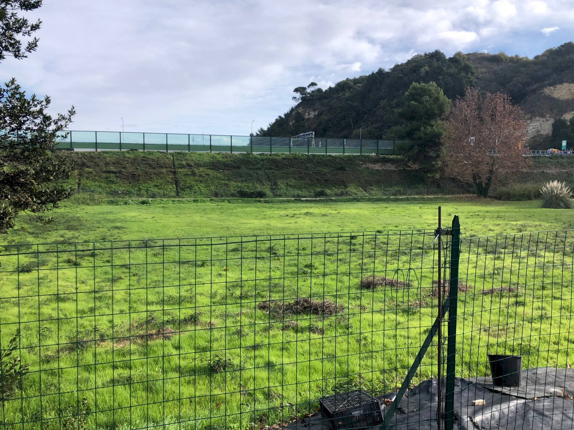 Foto 3 - Terreno edificabile Via Rizzotto, Pedaso - foto 3