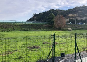 Foto 2 - Terreno edificabile Via Rizzotto, Pedaso - foto 2