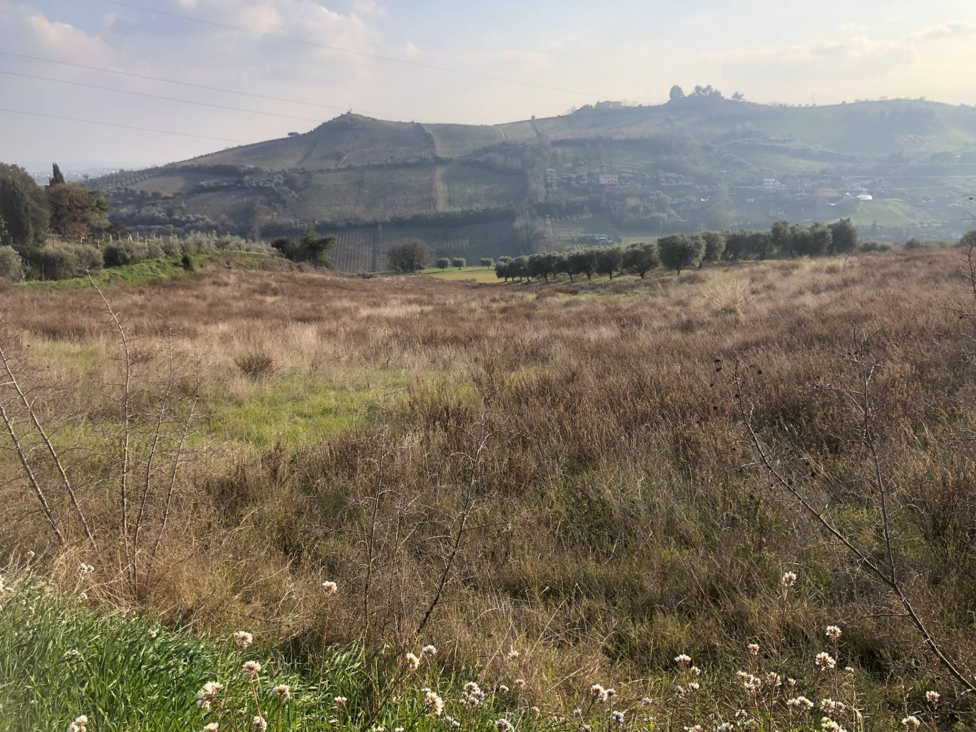 Foto 2 - Terreno agricolo Via Monte Aquilino
2, San Benedetto del Tronto - foto 2