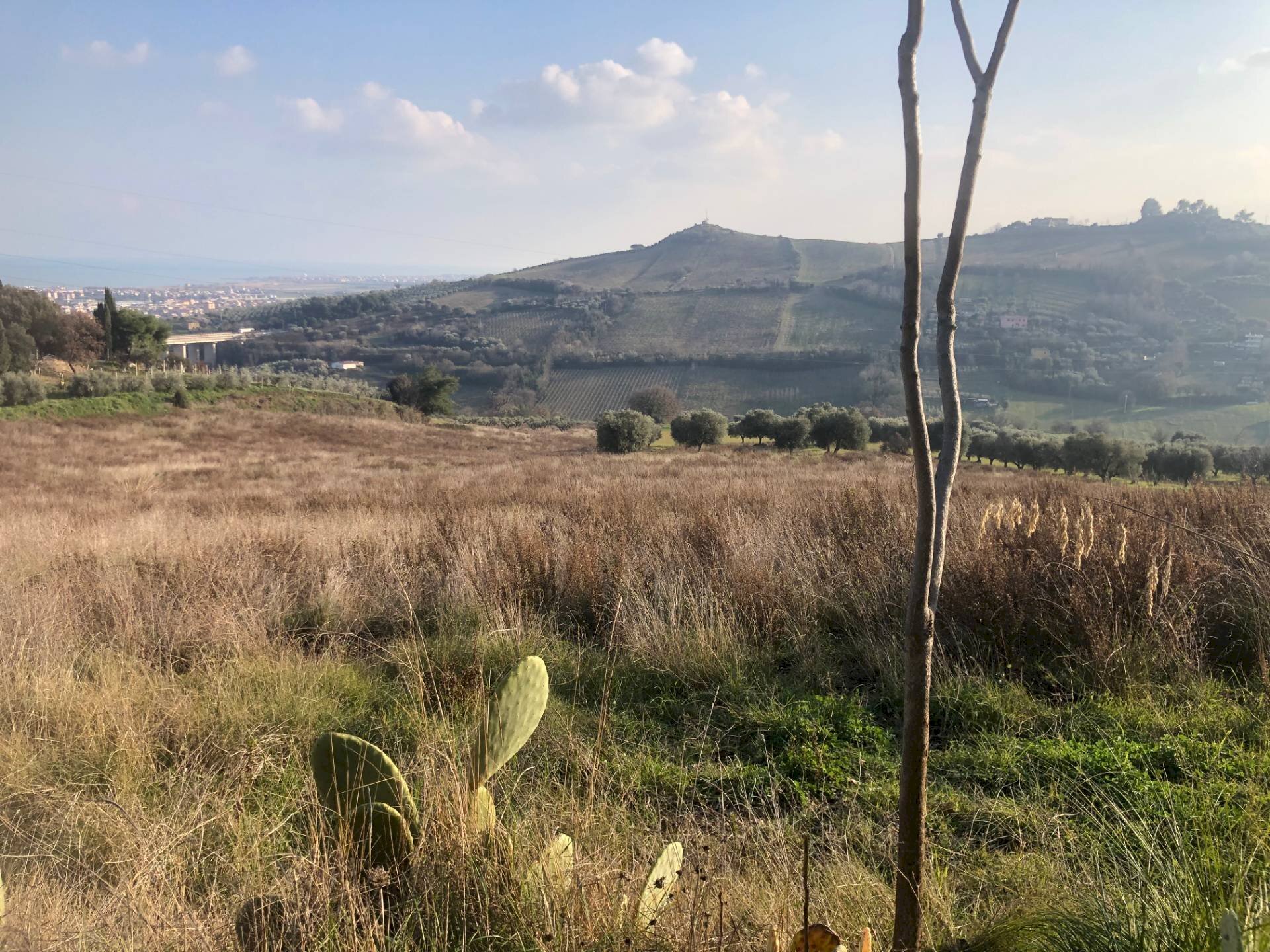 Foto 3 - Terreno agricolo Via Monte Aquilino
2, San Benedetto del Tronto - foto 3