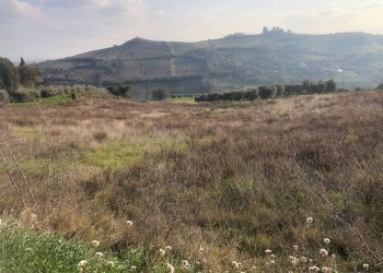 Foto 2 - Terreno agricolo Via Monte Aquilino
2, San Benedetto del Tronto - foto 2