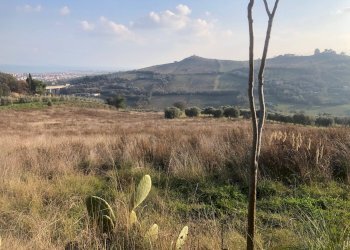 Foto 3 - Terreno agricolo Via Monte Aquilino
2, San Benedetto del Tronto - foto 3