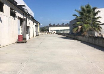 Foto 12 - Shed Monteprandone - photo 12