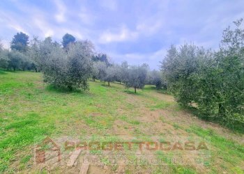 Foto 8 - Independent house Colli del Tronto - photo 8