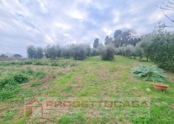 Foto 9 - Independent house Colli del Tronto - photo 9