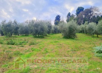 Foto 10 - Independent house Colli del Tronto - photo 10