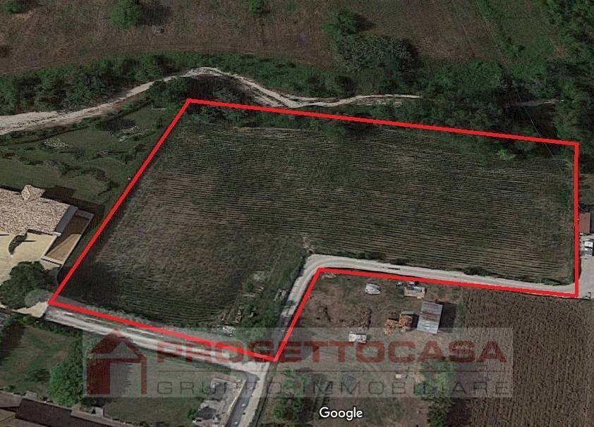 Foto 1 - Terreno agricolo viale abruzzi, Maltignano - foto 1