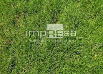 Terreno Edificabile - Terreno edificabile Viale Dela Libertà
 
0, Pordenone - foto 6