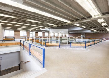 Foto 31 - Magazzino Via Galileo Ferraris, Pordenone - foto 31